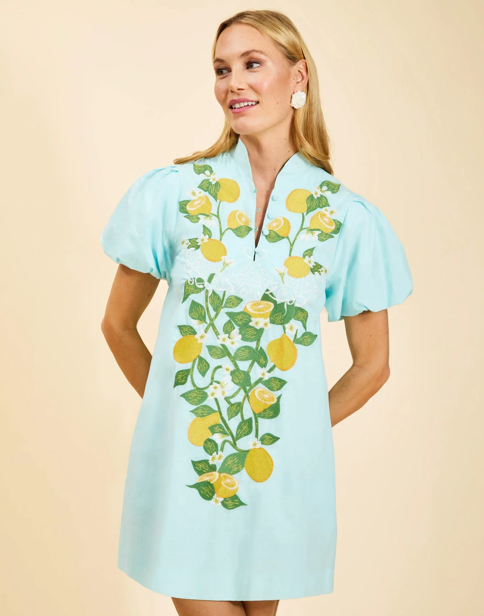 Elliana Mini Dress | Citrus Green